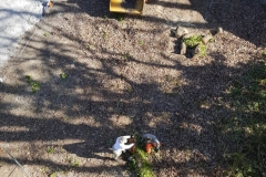 52864579_10157691291919298_6084157225910140928_o