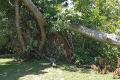 66621649_10158024972929298_2141456387249537024_o