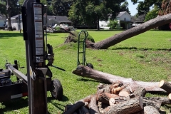 67146832_10158033707049298_573143839255035904_o