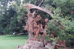 67171808_10158033703709298_7055704404795588608_o