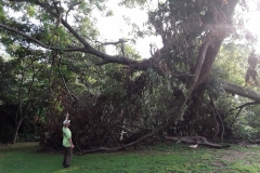 67418619_10158033704314298_8099970362164379648_o