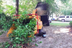 68263289_10158105454749298_4632832500362641408_o