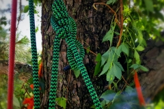 68492121_10158090730244298_6514495730445451264_o