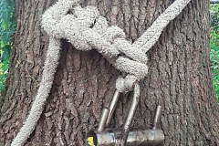 69005546_10158102756324298_4297136052621017088_o