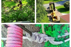 IMG_20190909_101030_895