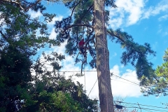 IMG_20190925_121405_009