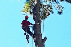 IMG_20190926_081936_844