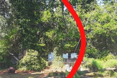 IMG_20190927_081449_154