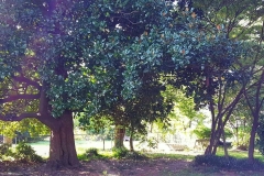 IMG_20190927_081449_155