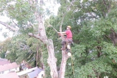 received_1324808454310175