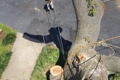 received_338368200404557