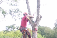 received_502579790325841