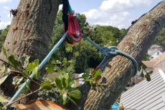 received_529693487800818