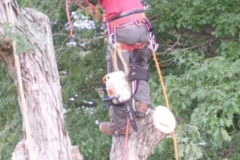 received_537448283713946