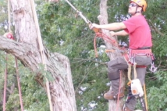 received_548366705706709